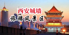 热热色热国产热中文中国陕西-西安城墙旅游风景区